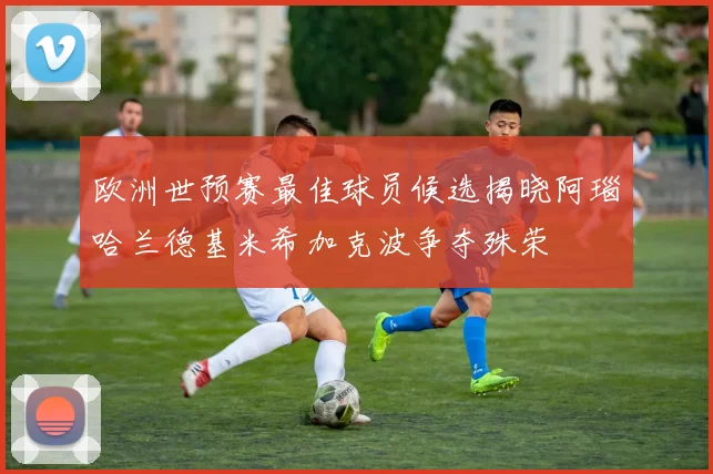 欧洲世预赛最佳球员候选揭晓阿瑙哈兰德基米希加克波争夺殊荣