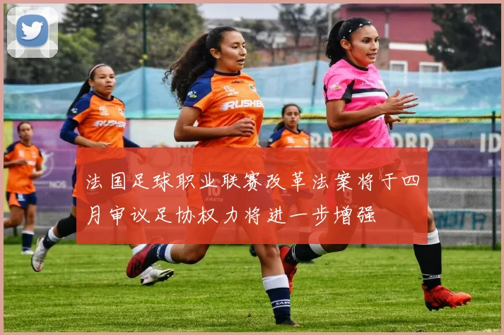 法国足球职业联赛改革法案将于四月审议足协权力将进一步增强